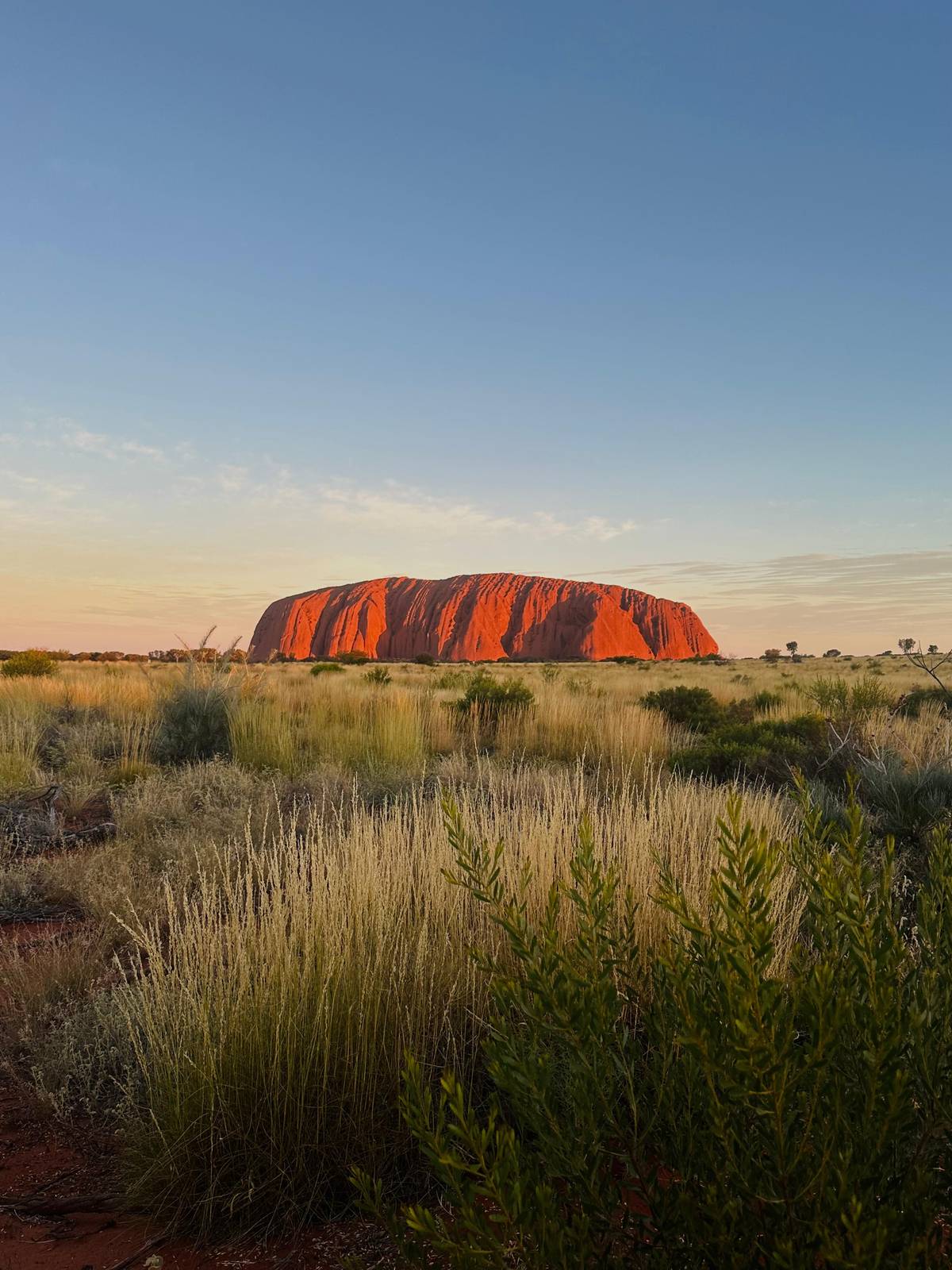 Uluru: Sacred Sites & Sunset Tour with Wine & Cheeseboard