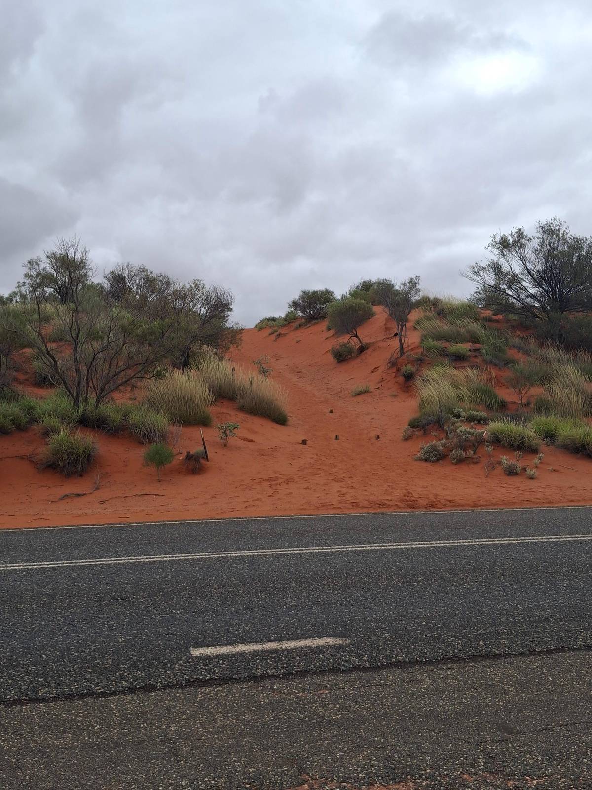 Alice Springs: Coach Transfer to Ayers Rock Resort