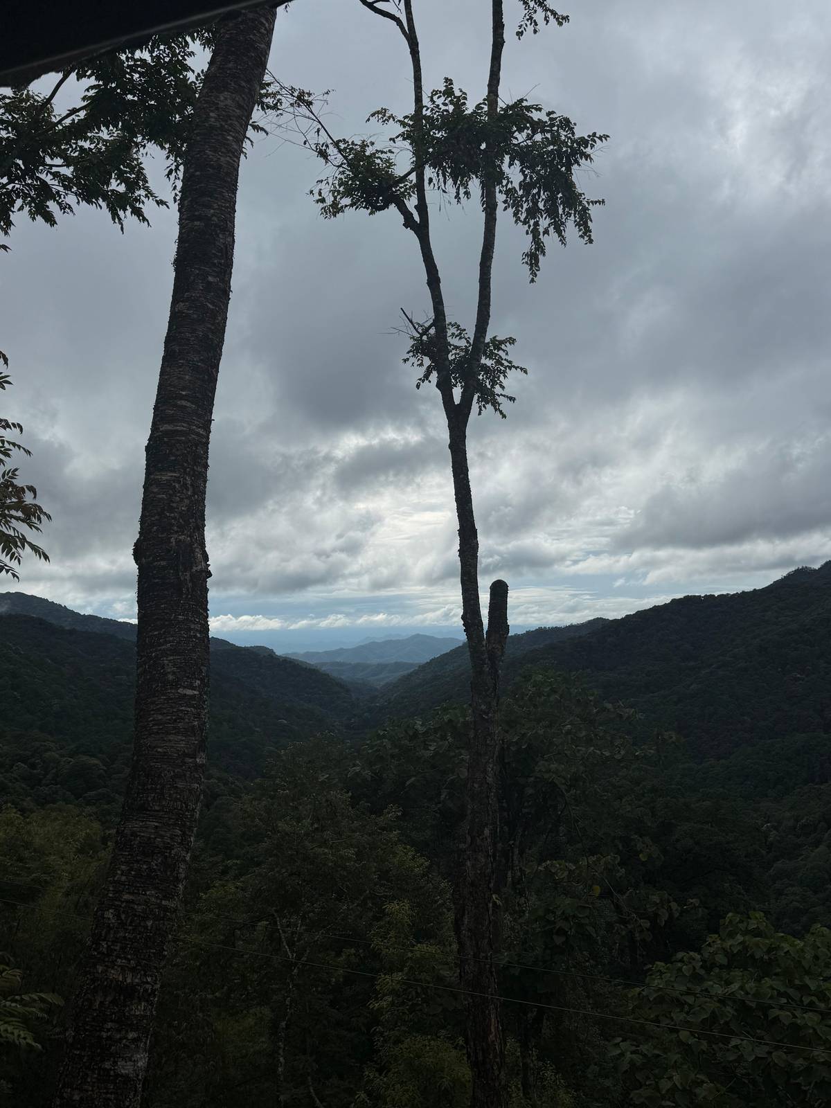 Chiang Mai: Kingkong Smile Zipline with Lunch and Transfers