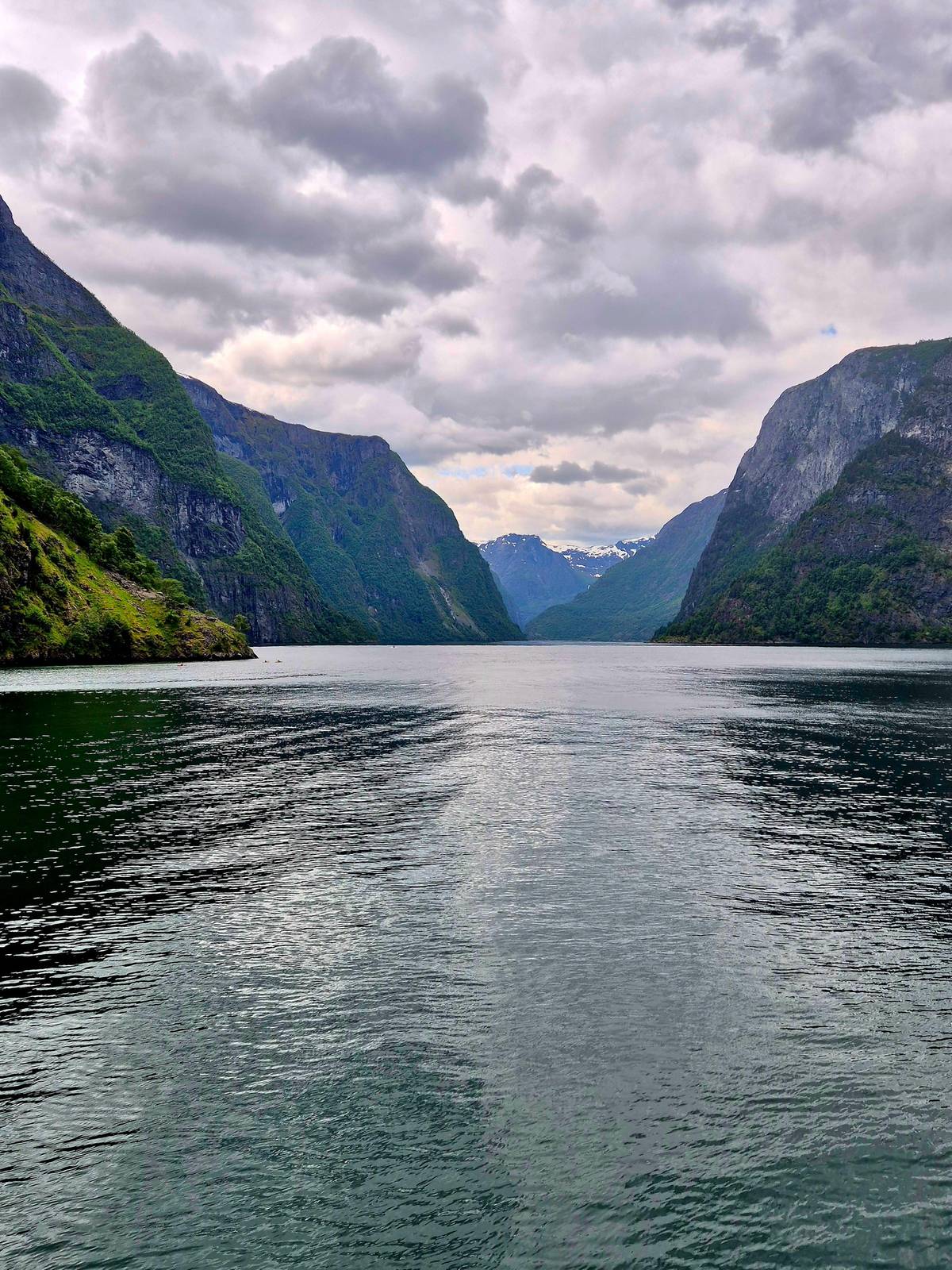 The Nærøyfjord opening between steep green walls