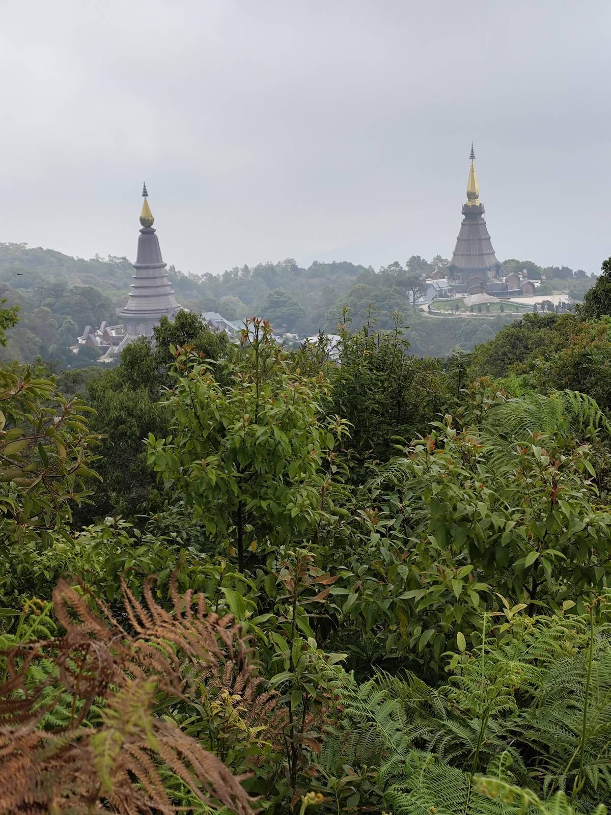 Doi Inthanon National Park: a day on Thailand's highest mountain