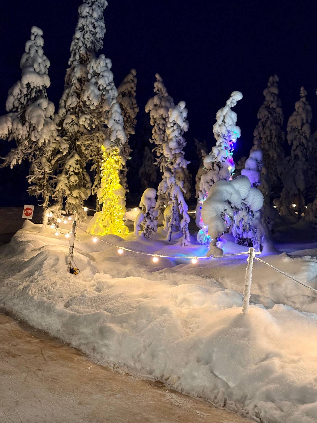 Things to do in Levi in winter, on ice and off it