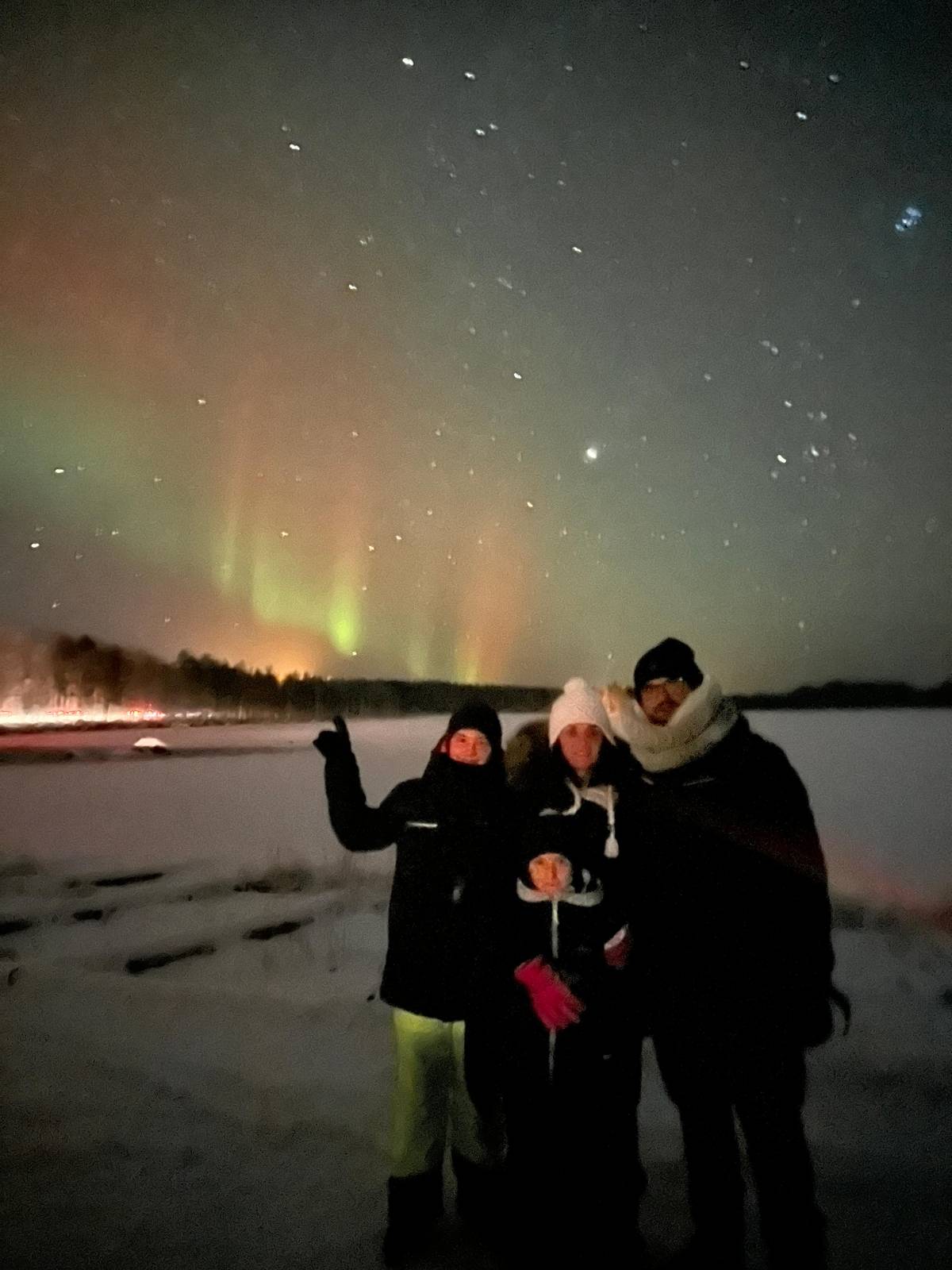 Rovaniemi: Santa's Reindeer and Husky Safari with Aurora BBQ