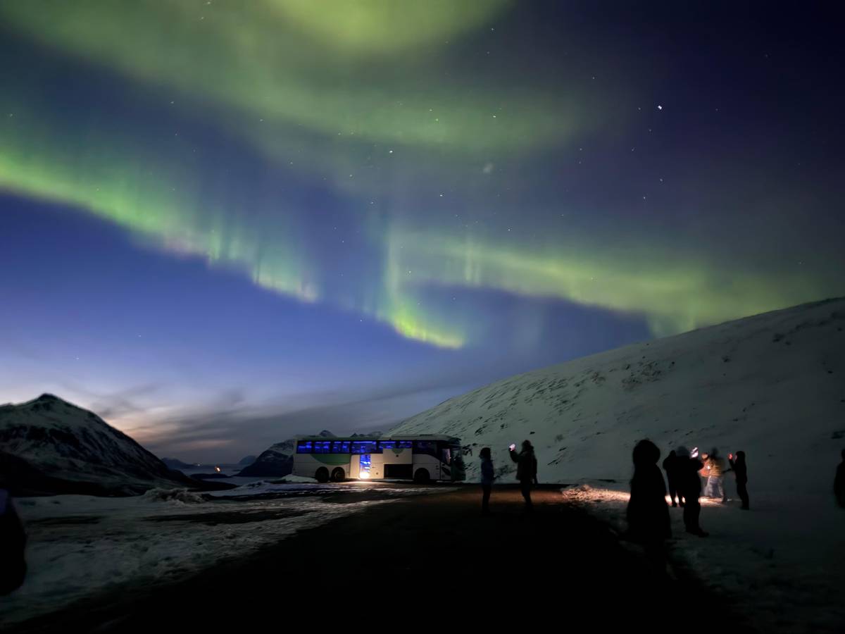 Tromsø: Nordlichtsafari mit Guides und Fotos