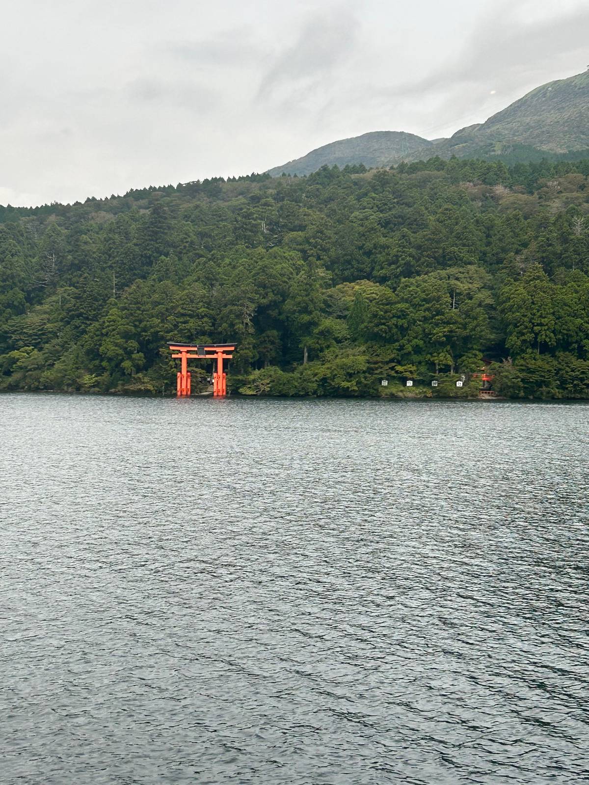 From Tokyo: Hakone Full Day Customizable Private Tour