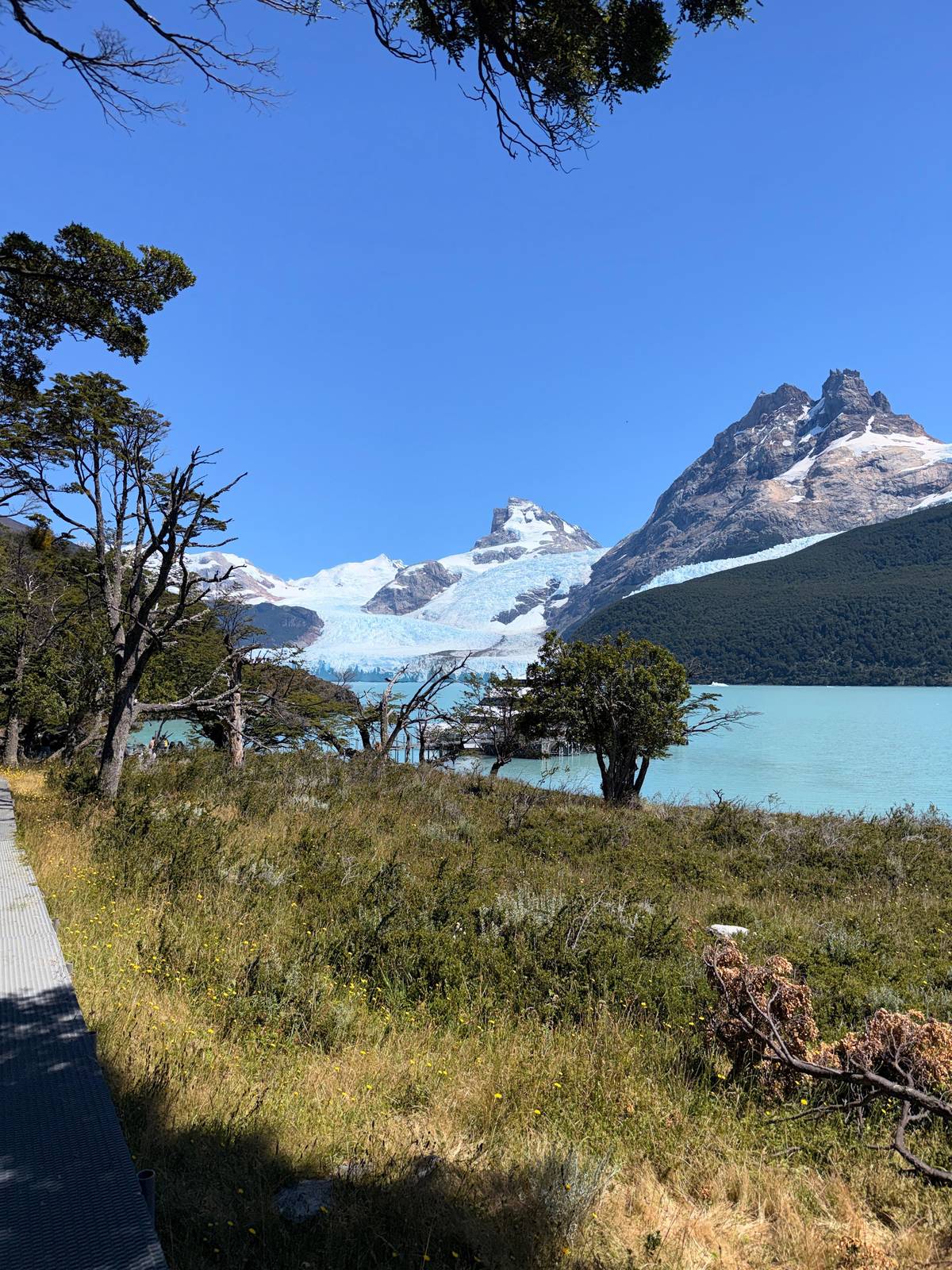 What to see in El Calafate