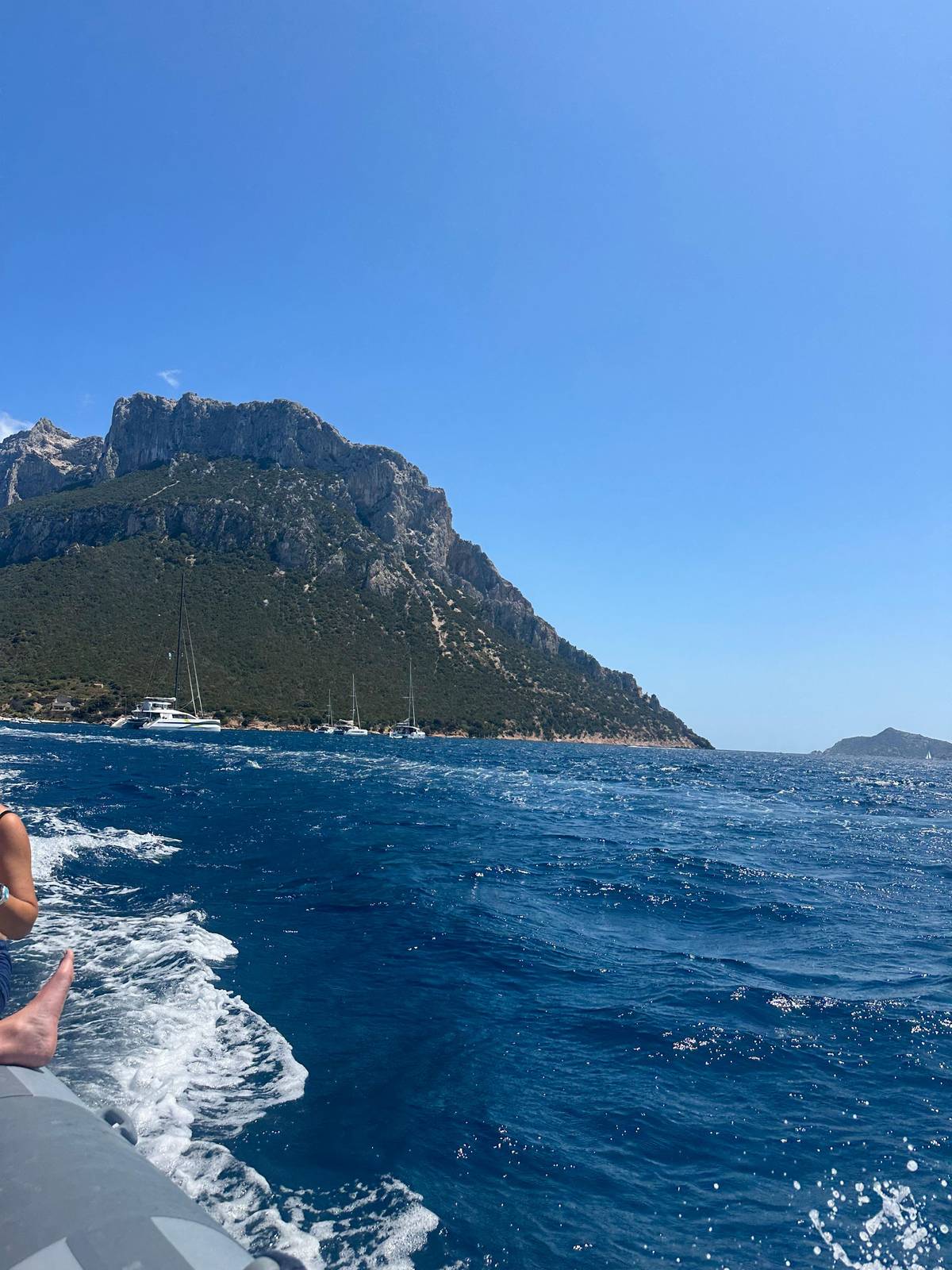 Golfo Aranci: Tavolara and Molara Snorkeling Dinghy Tour