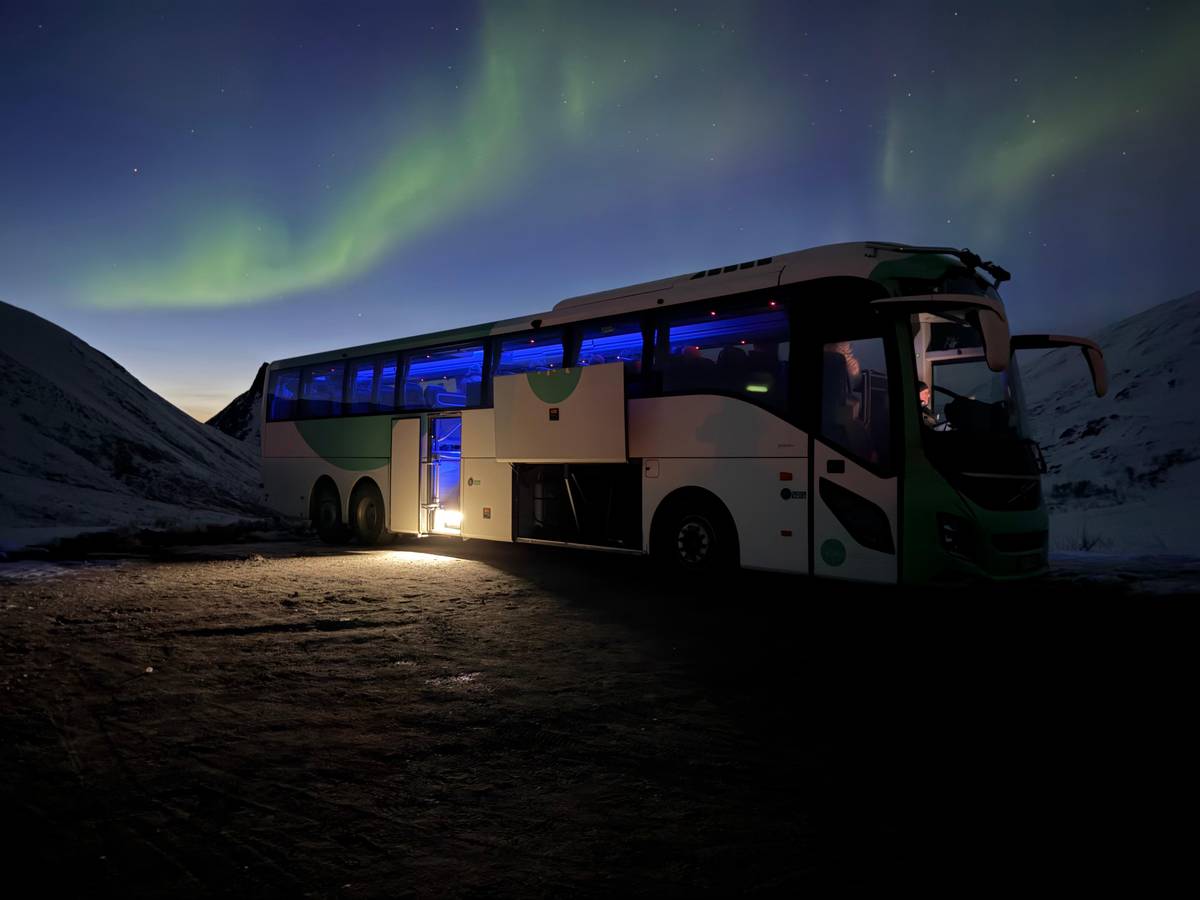 Bus der Nordlichtsafari bei Nacht