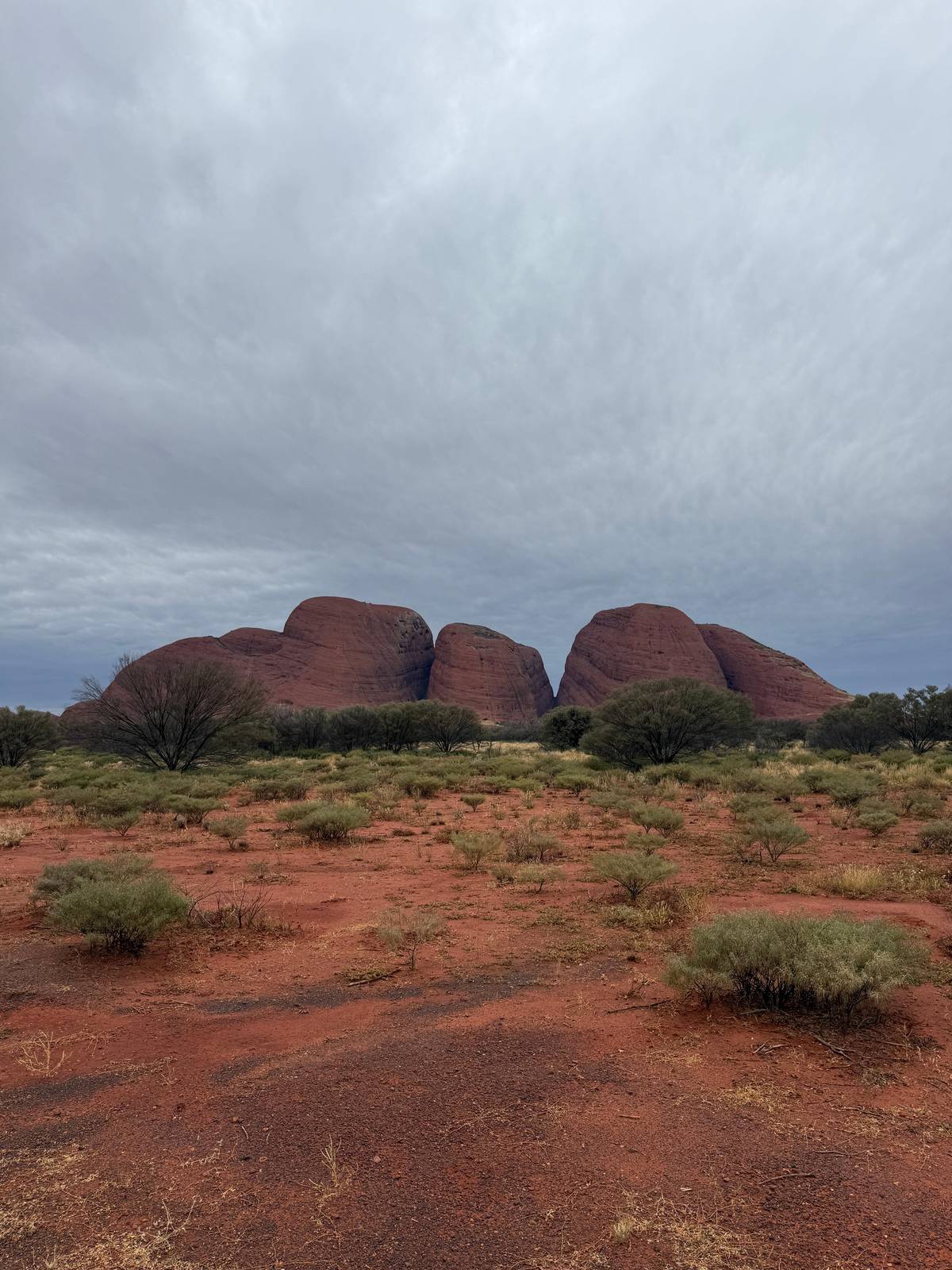 Kata Tjuta on the horizon under grey cloud