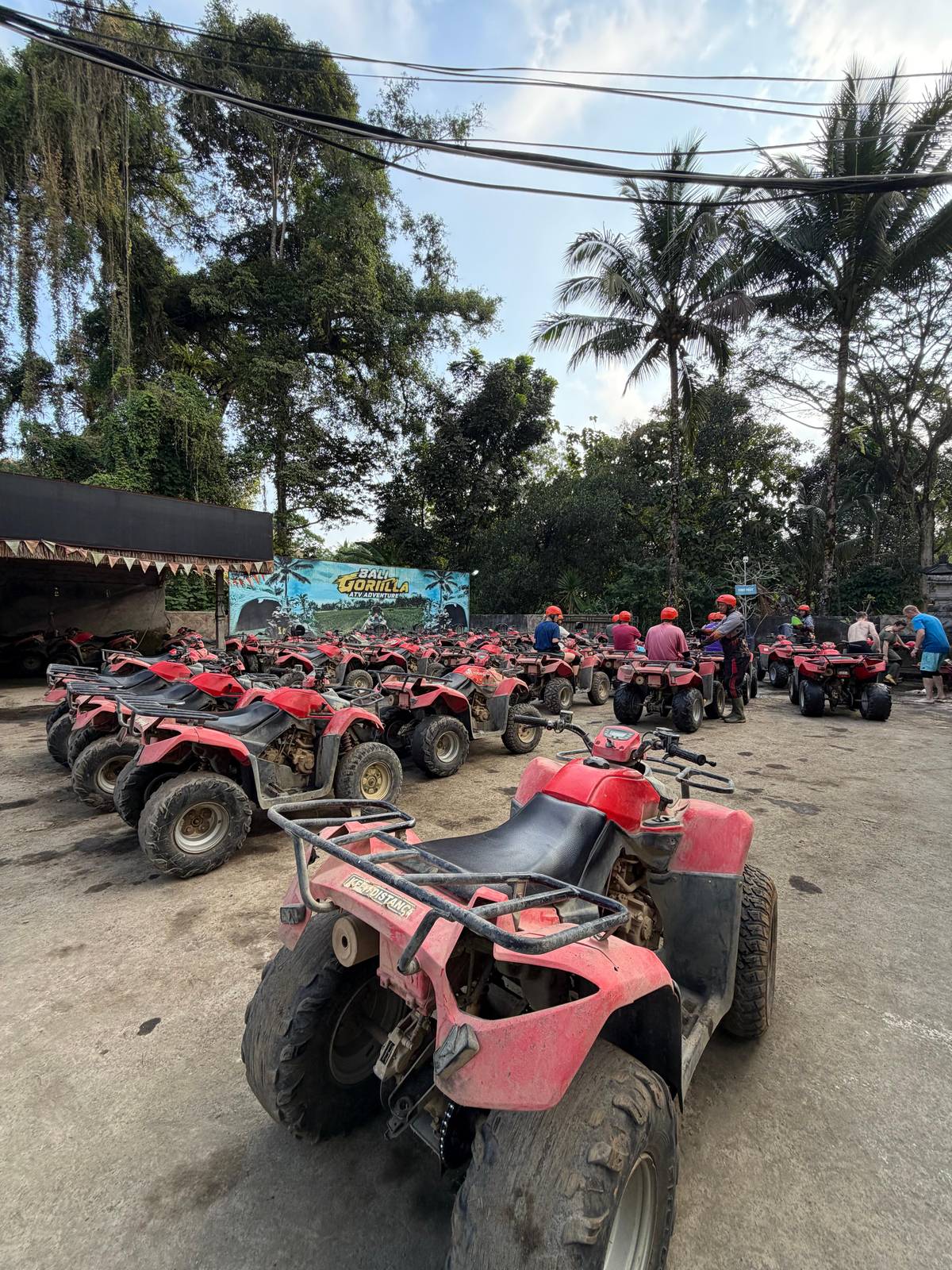 Ubud: Guided ATV Quad Bike Jungle Adventure with Lunch
