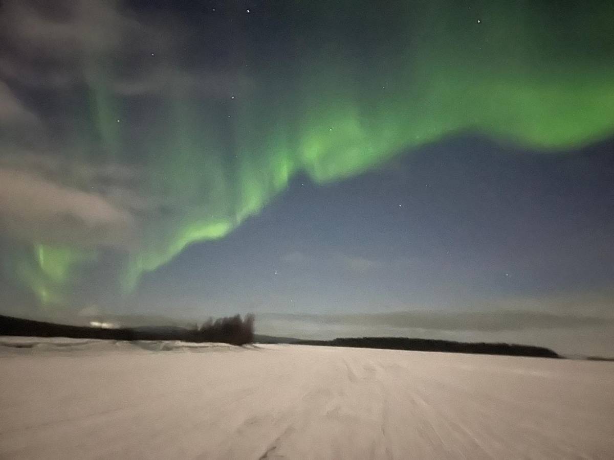 Saariselkä: Northern Lights Tour to Lake Inari & Dinner