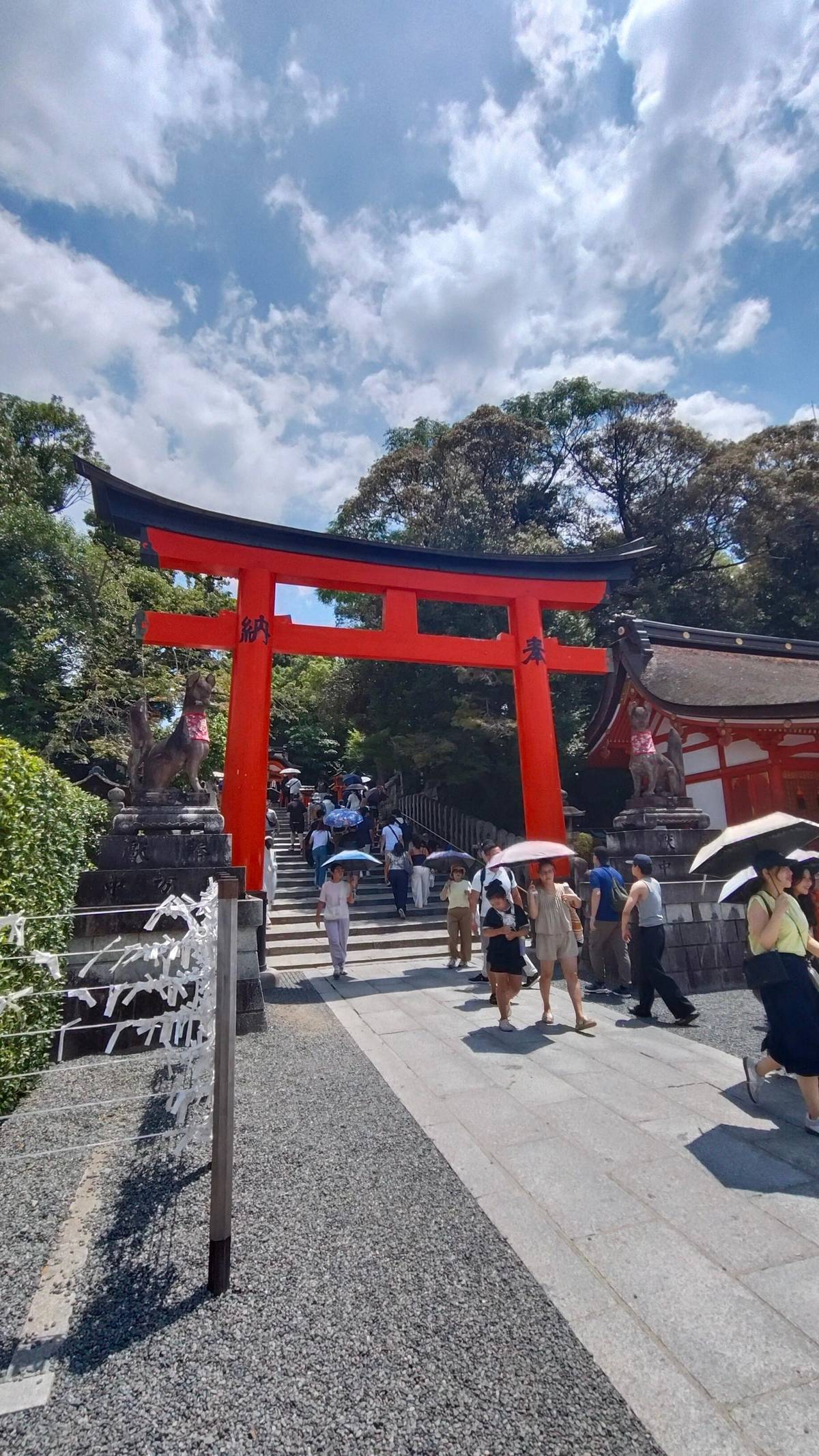 Kyoto or Osaka: Nara, Arashiyama and Fushimi Inari Taisha Day Tour