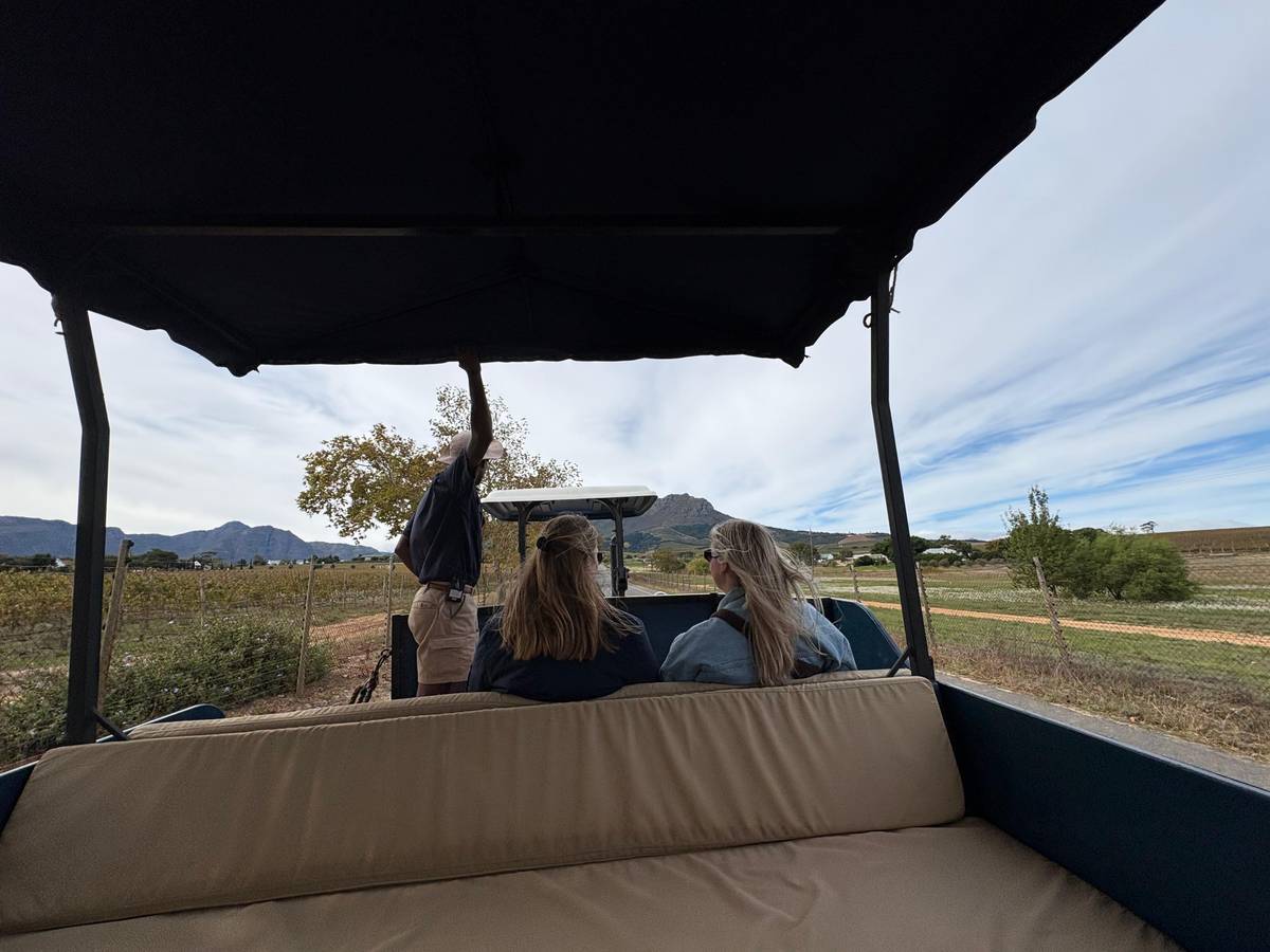 Cape Town: Stellenbosch Hop-on Hop-off Wine Tractor