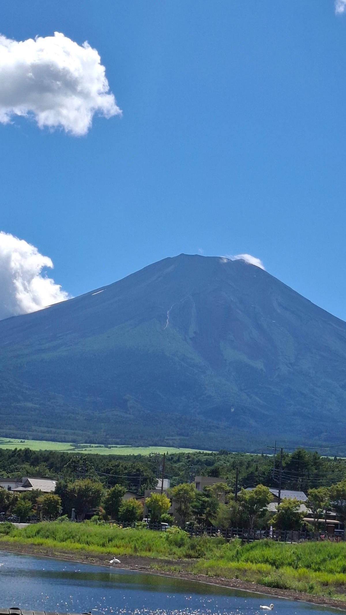 Mount Fuji under a clear blue sky above green fields