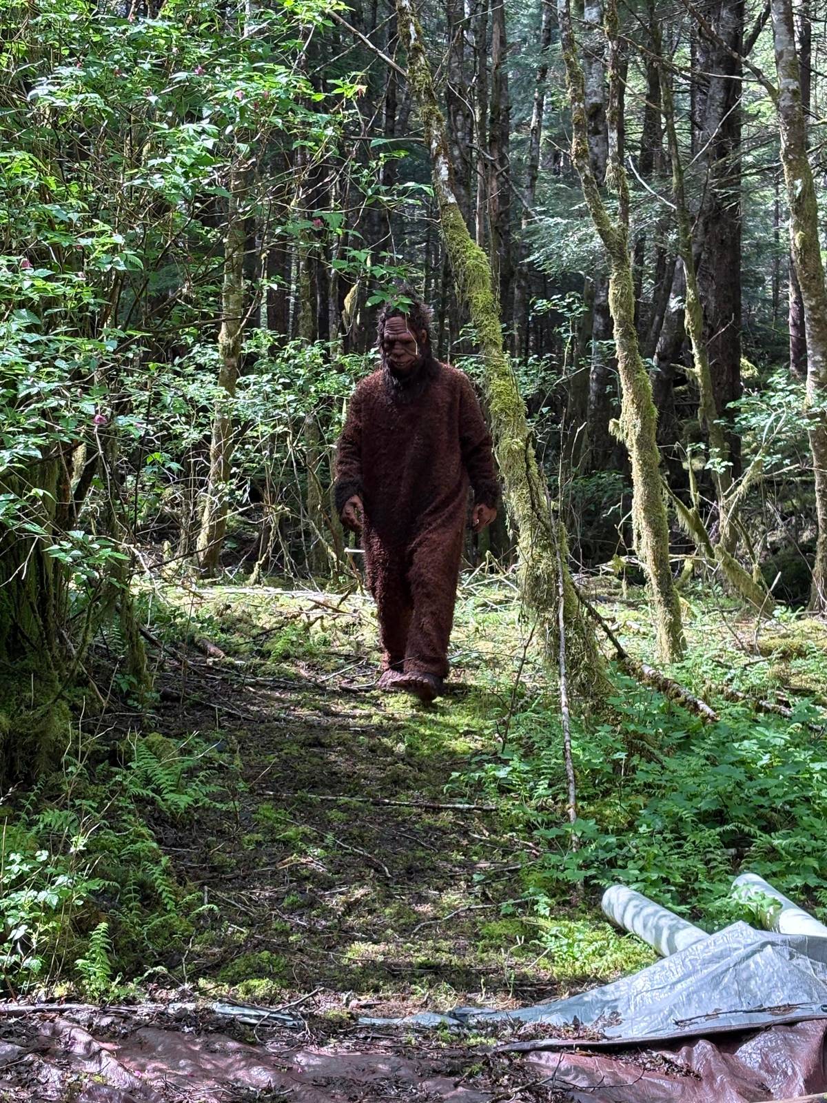 Ketchikan: Tongass Forest ATV Ride and Hike