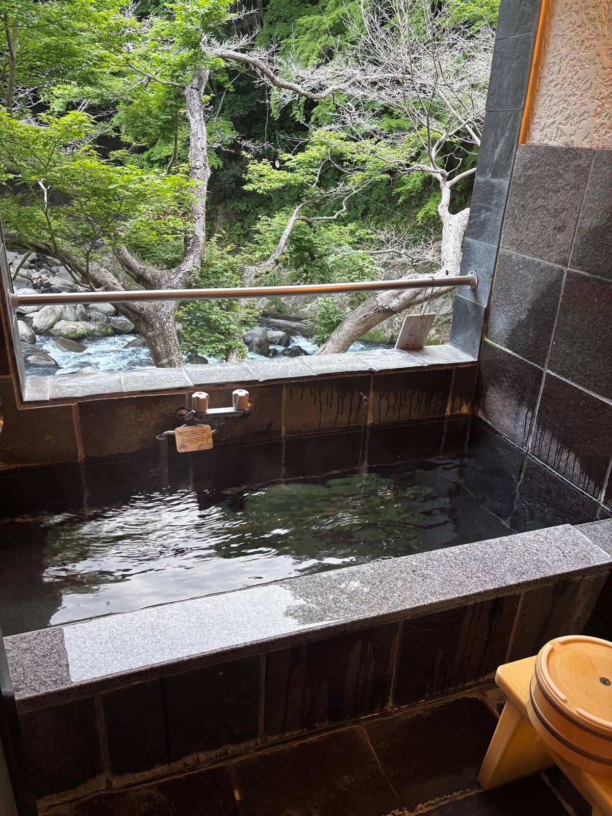 Hakone onsen and ryokan: baths, inns and private onsen