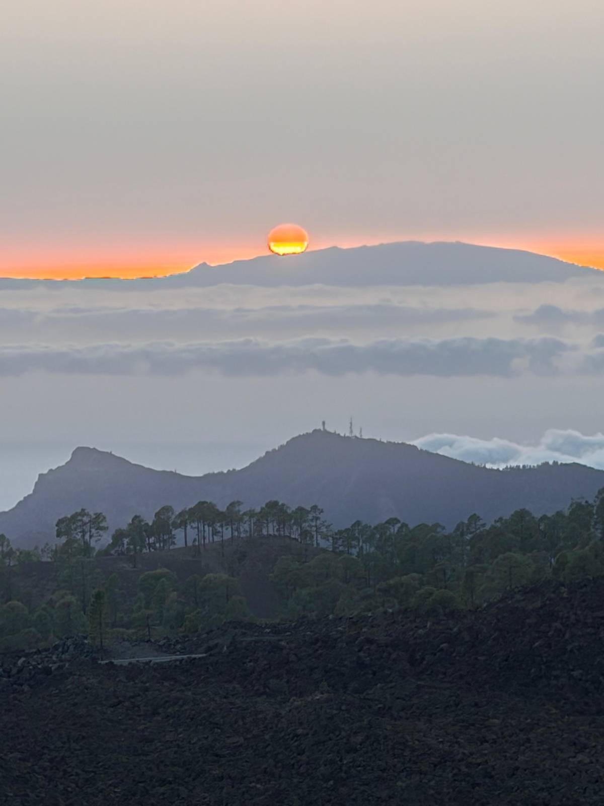 The setting sun above pine forest and a cloud layer