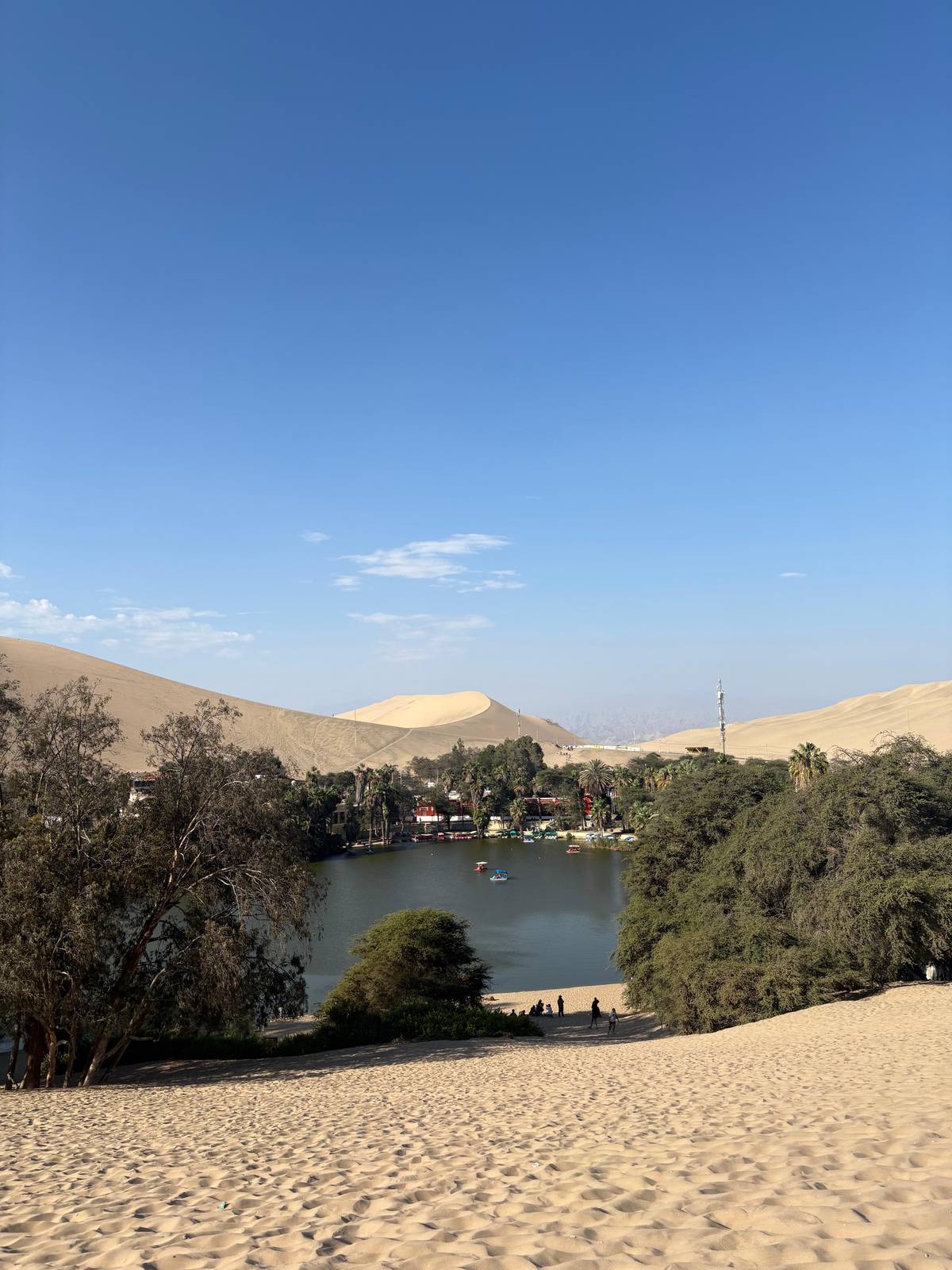 The green lagoon of Huacachina ringed by trees and dunes
