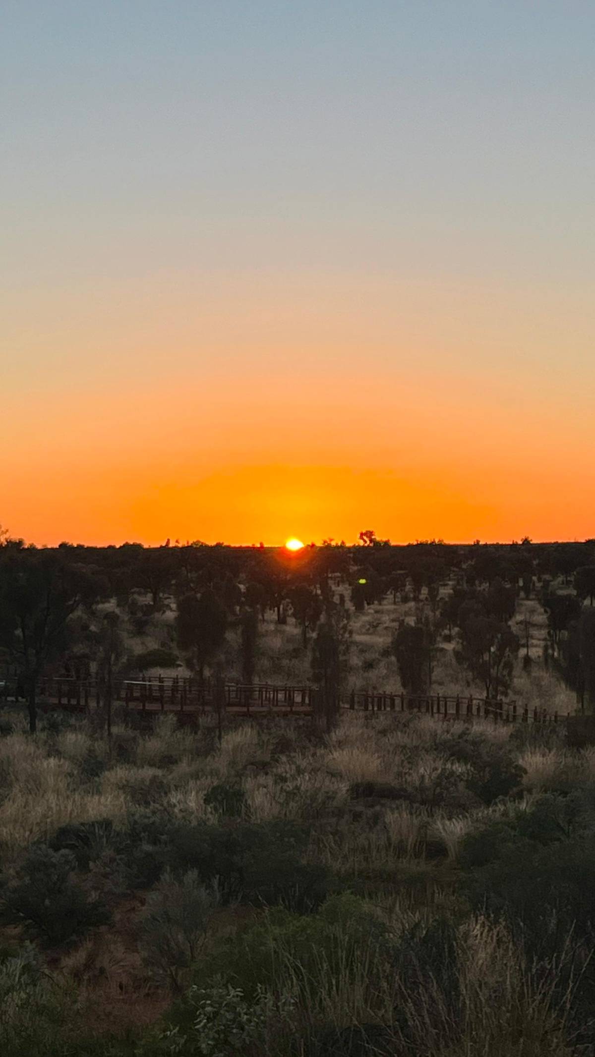 The sun rising over the desert scrub