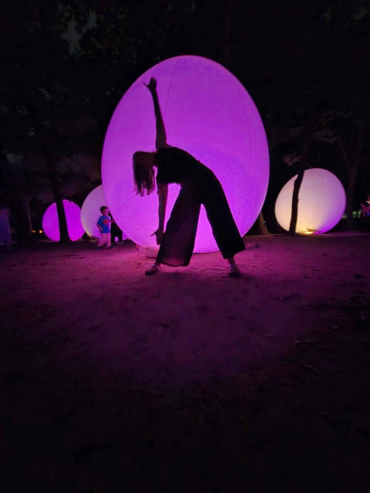 Osaka: teamLab Botanical Garden Entry Ticket
