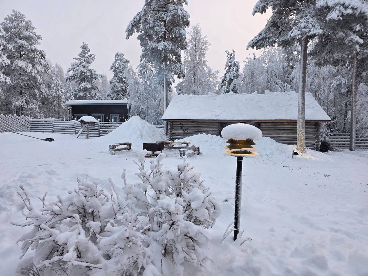 Rovaniemi: Saami Reindeer Farm Visit & Sleigh Ride