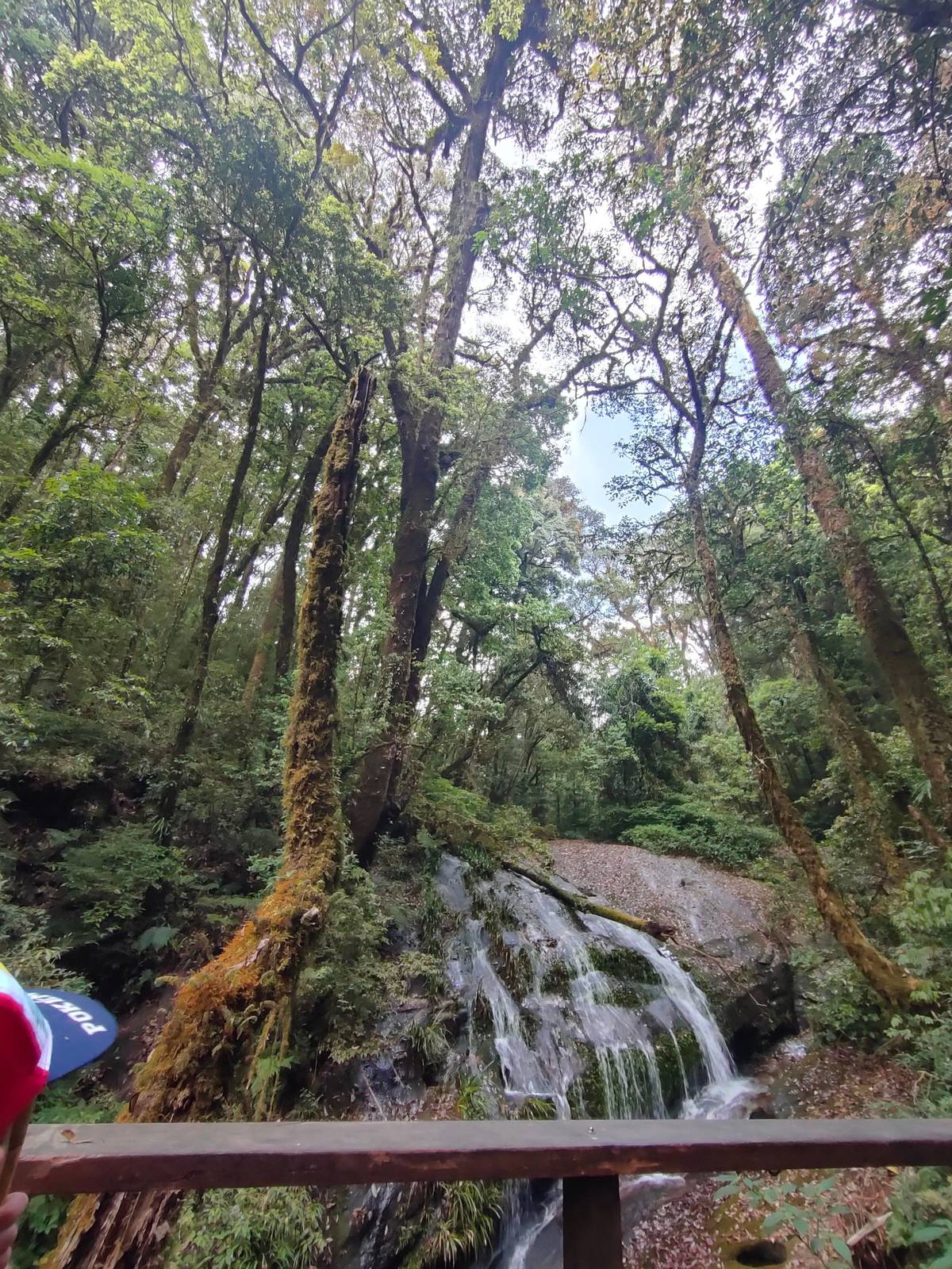 Doi Inthanon hike: Kew Mae Pan, Ang Ka and Pha Dok Siew