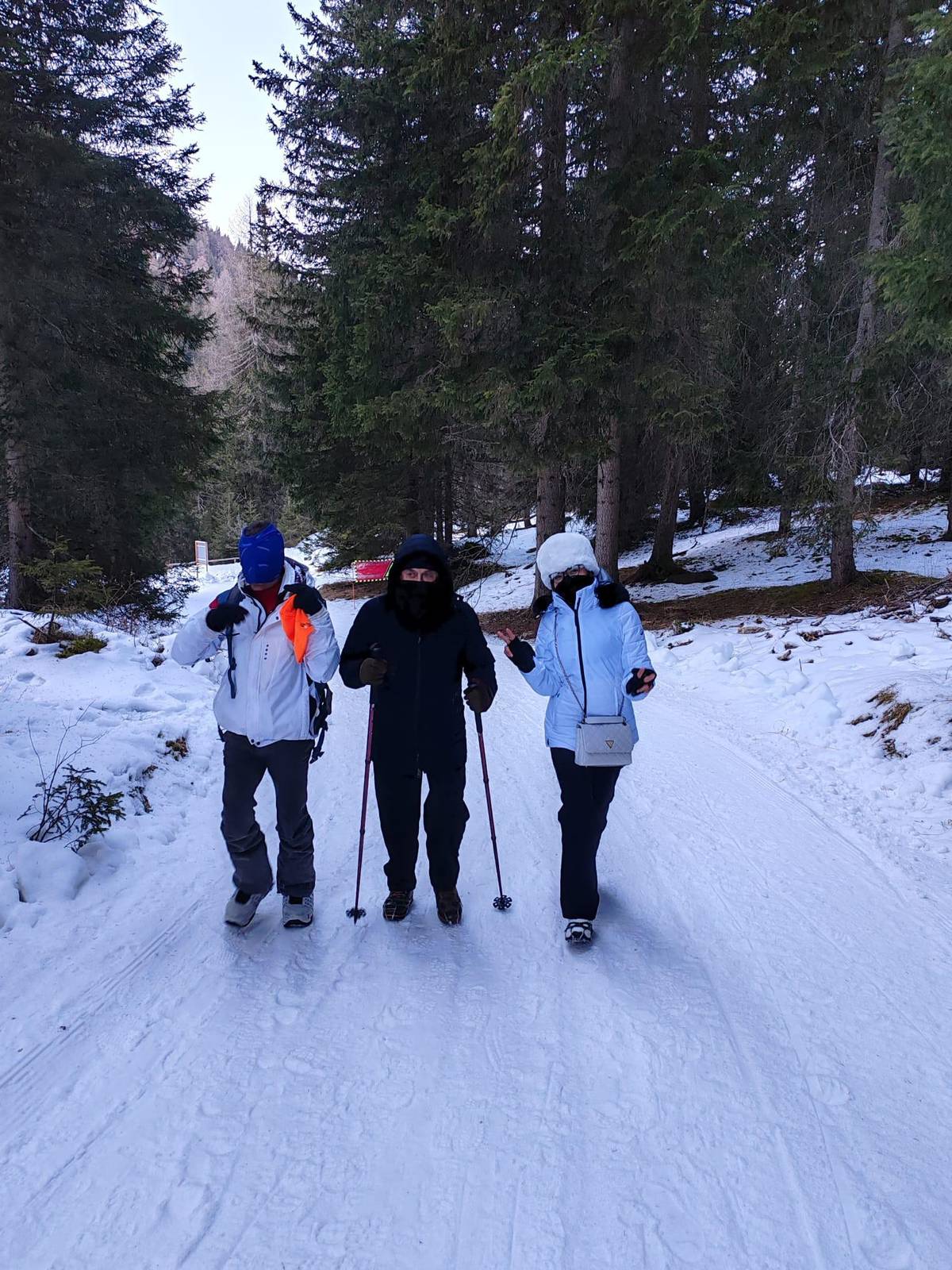 Dolomites of Bolzano: Winter Hiking & Sledding