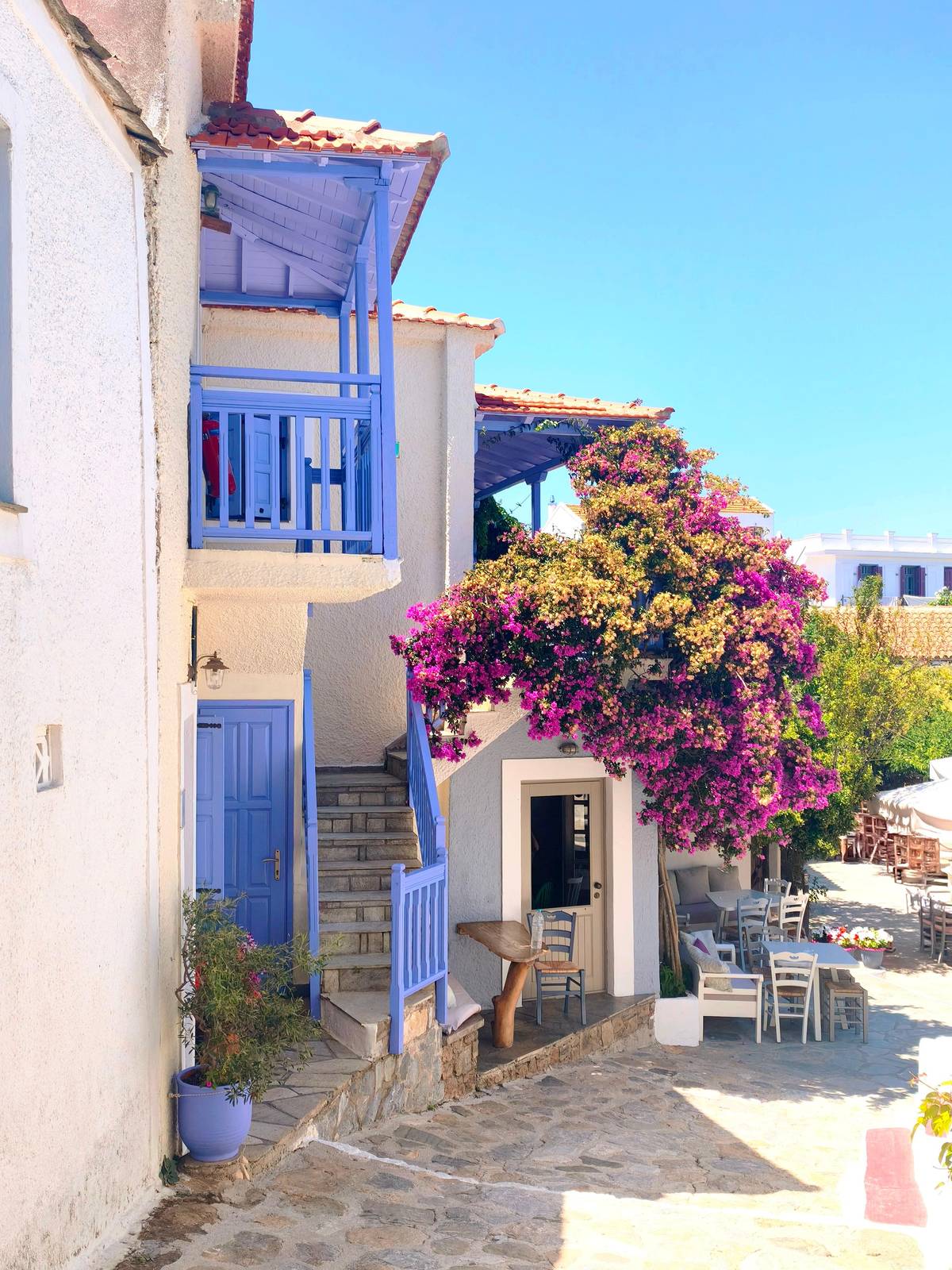 Bougainvillea over a blue balcony