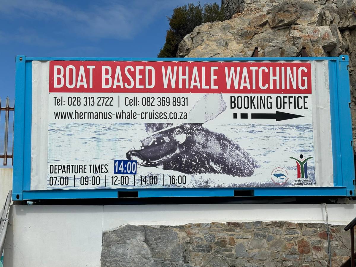 From Cape Town: Hermanus whale watching day tour