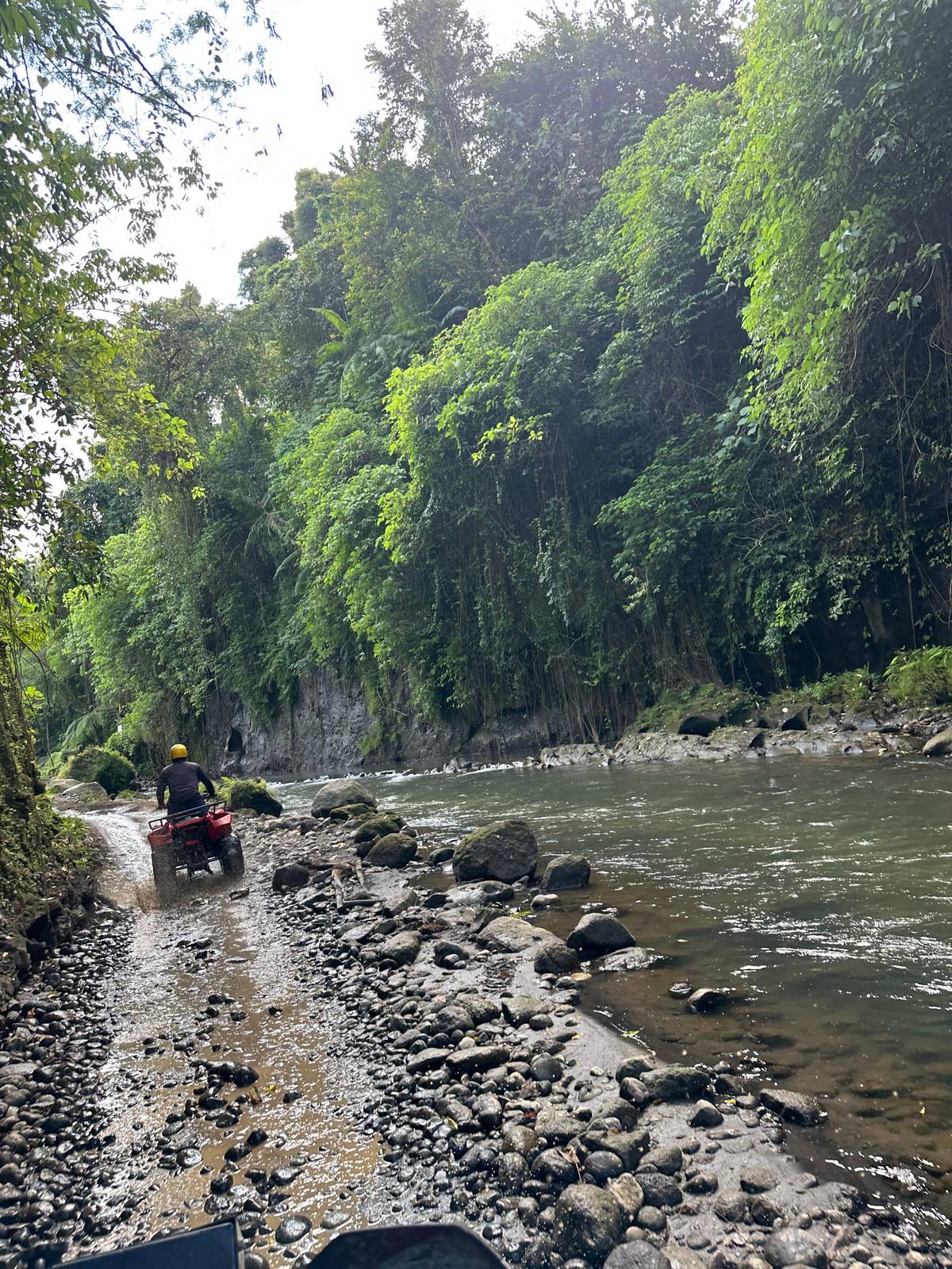 ATV ride on jungle trails by the Beji river