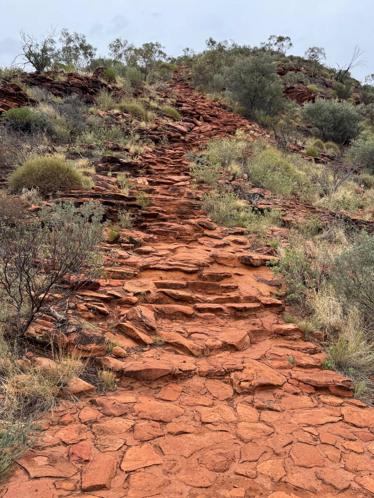 Kings Canyon full-day tour from Ayers Rock Resort