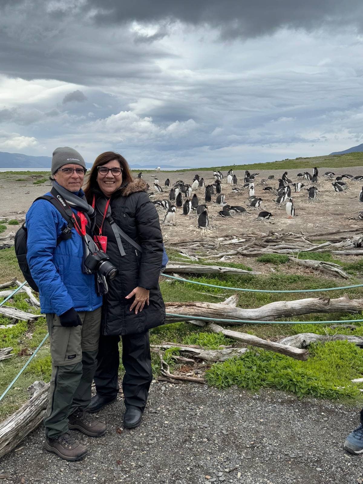 Ushuaia: Beagle Channel Boat Tour and Penguin Experience