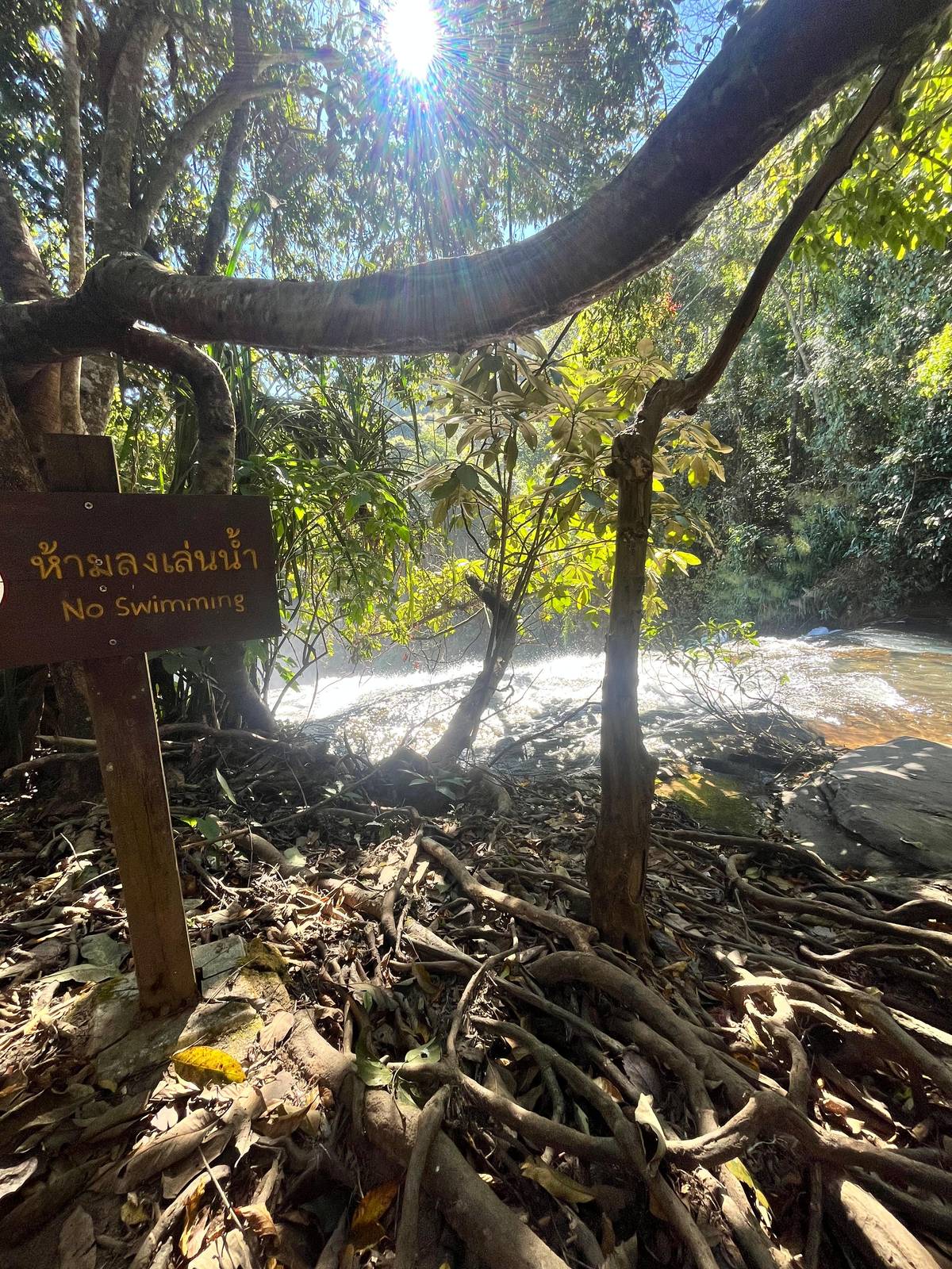 Chiang Mai: Doi Inthanon Hiking & Elephant Sanctuary Program