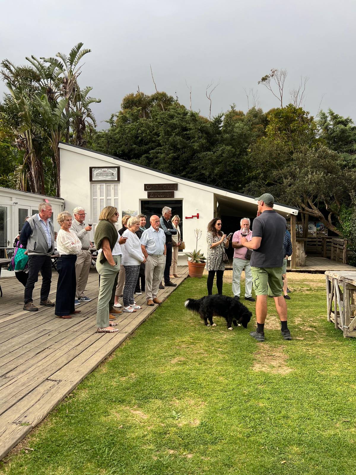 Cape Town: Silvermist Estate Wine Tasting & Drumstruck Show