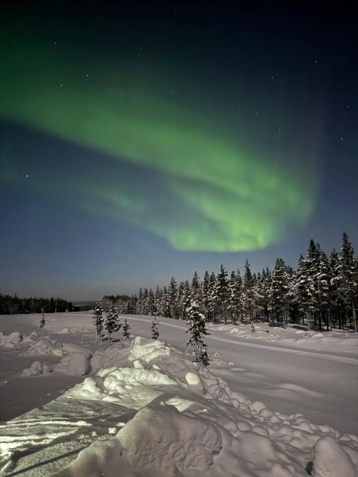Aurora over snowy pines by a frozen lake