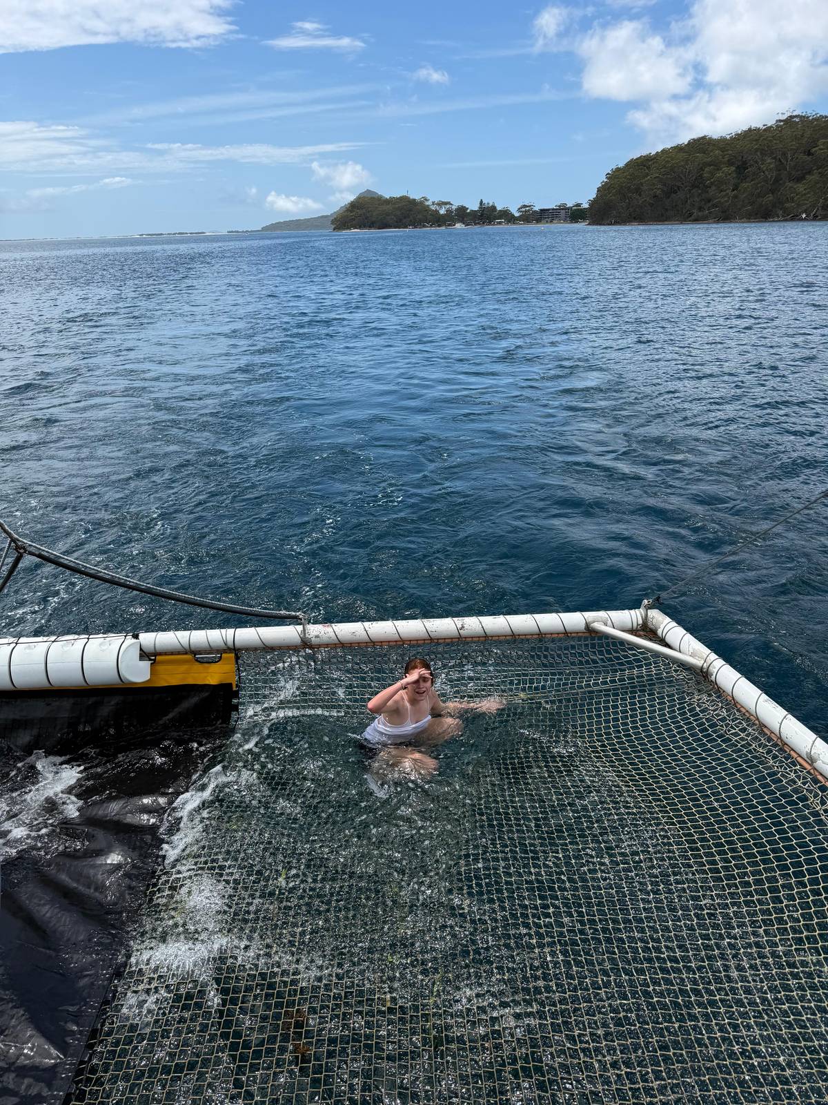 Port Stephens Dolphin Cruise