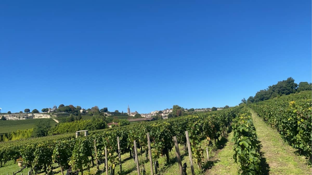 Saint-Émilion: Bordeaux Vineyard Tour and Wine Tasting