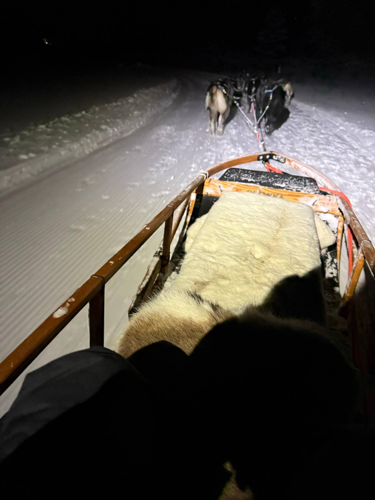 Rovaniemi: Aurora Ice Skating Tour