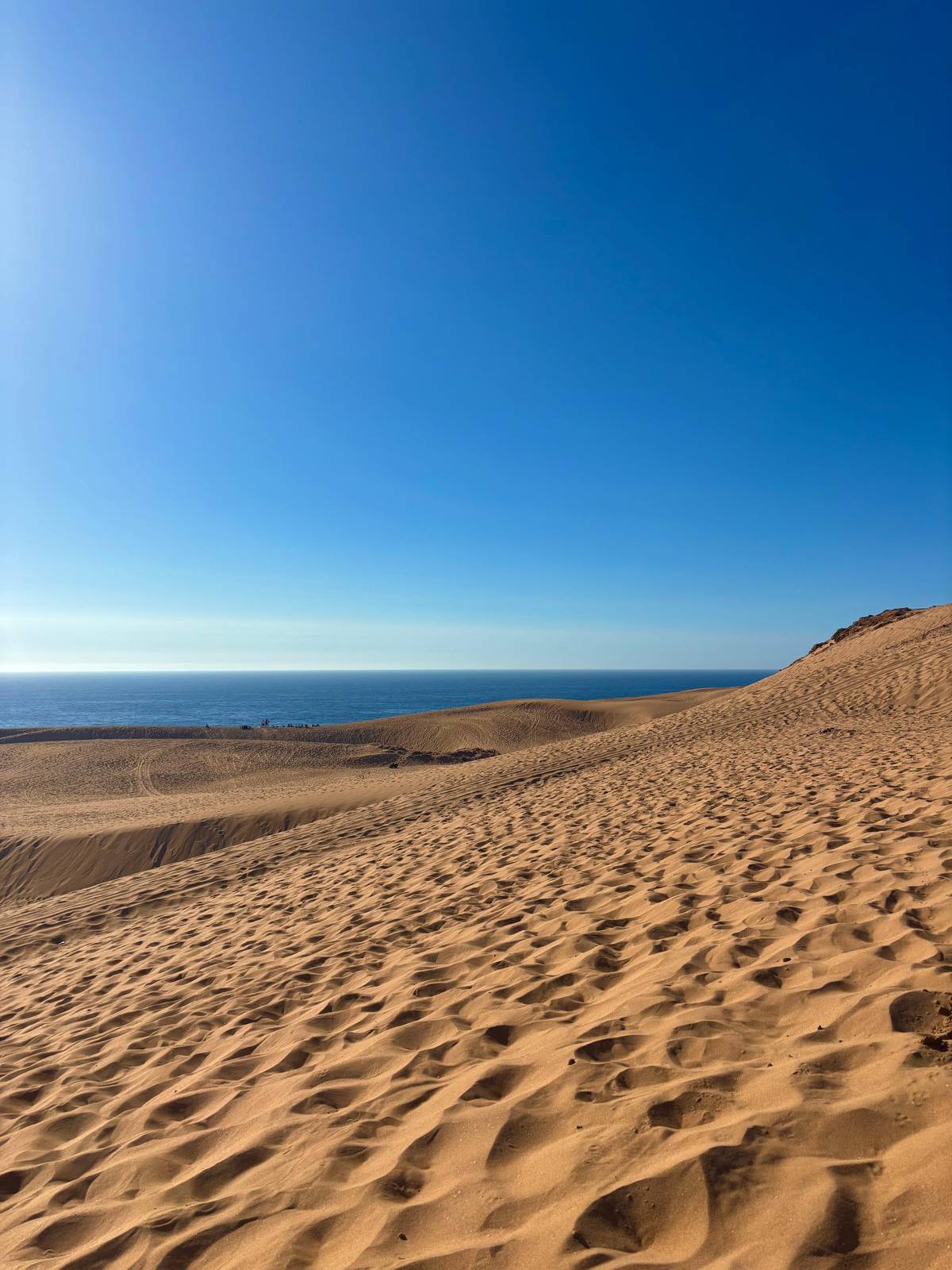 A dune ridge falling towards the Atlantic