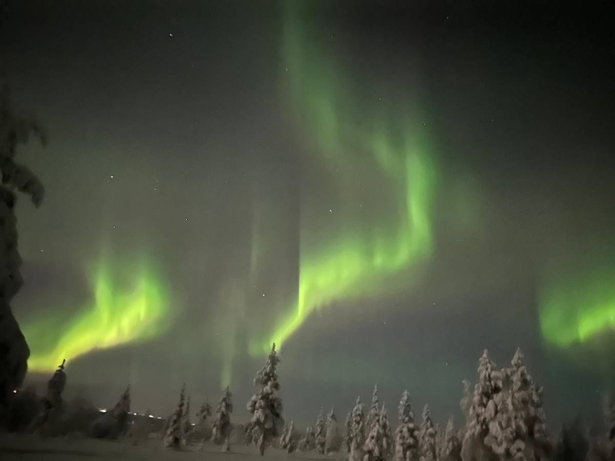 Levi: Northern Lights Hunting Trip by Snowmobile