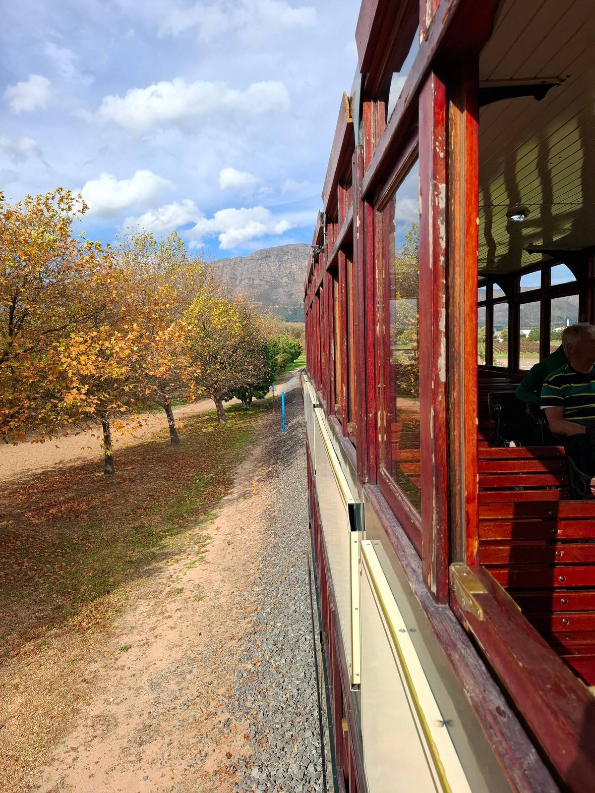 Cape Town: Full-Day Wine Tasting Tour with Wine Tram