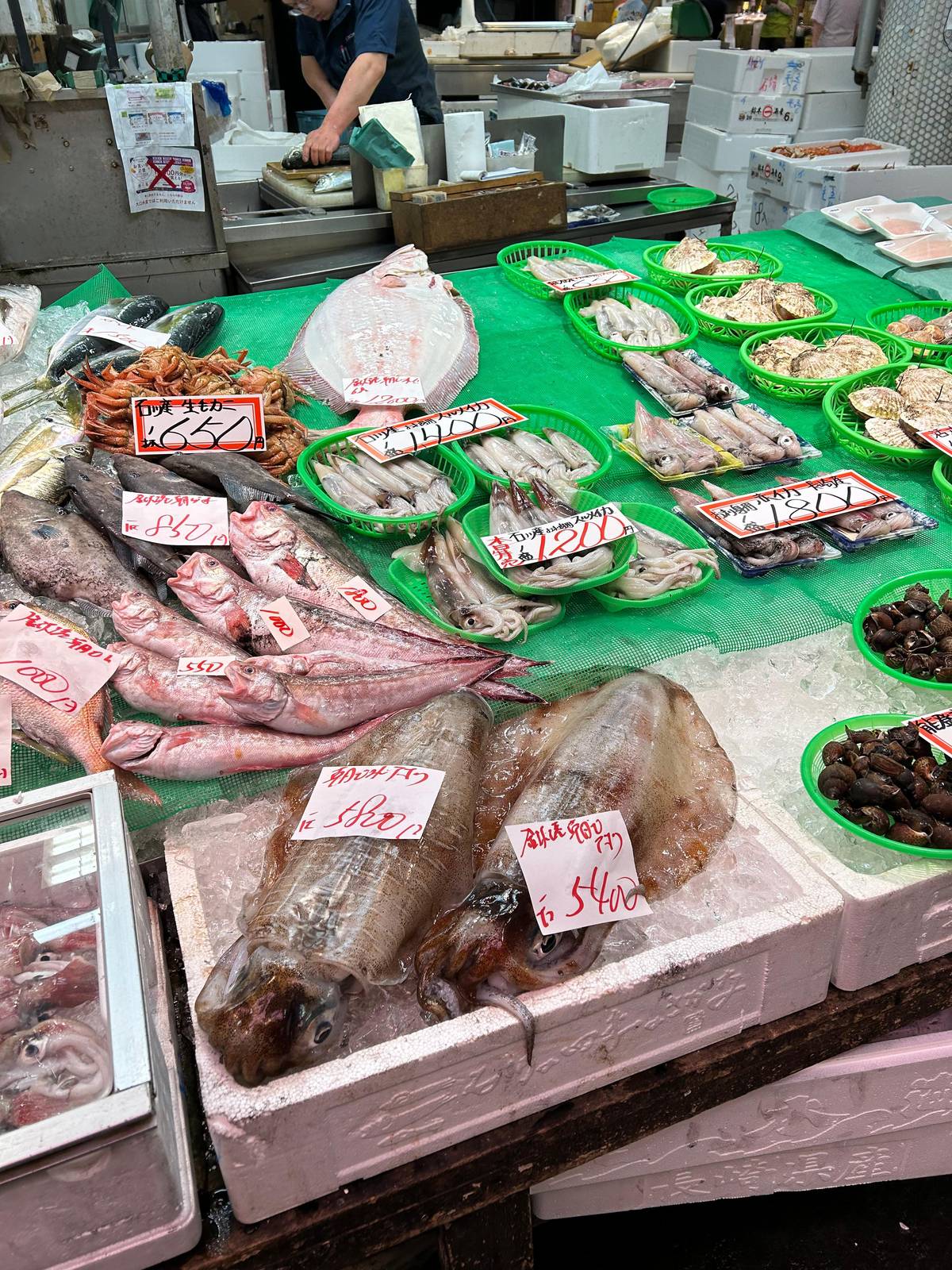 Nodoguro, squid and small fish on ice at an Omicho stall
