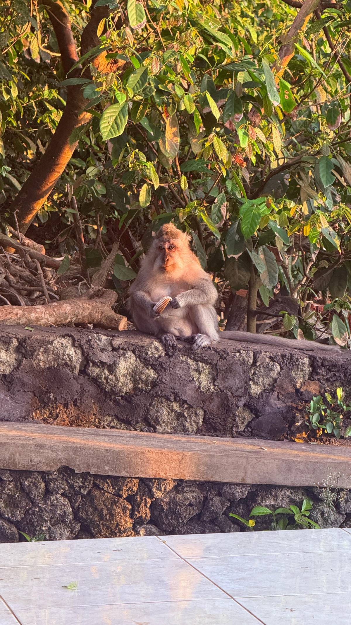 Bali: Uluwatu Temple Tour with Optional Kecak Dance Ticket