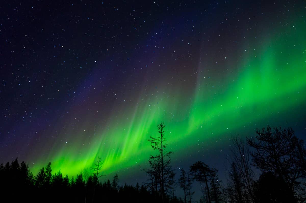Rovaniemi: Polarlichter-Tour mit Garantie