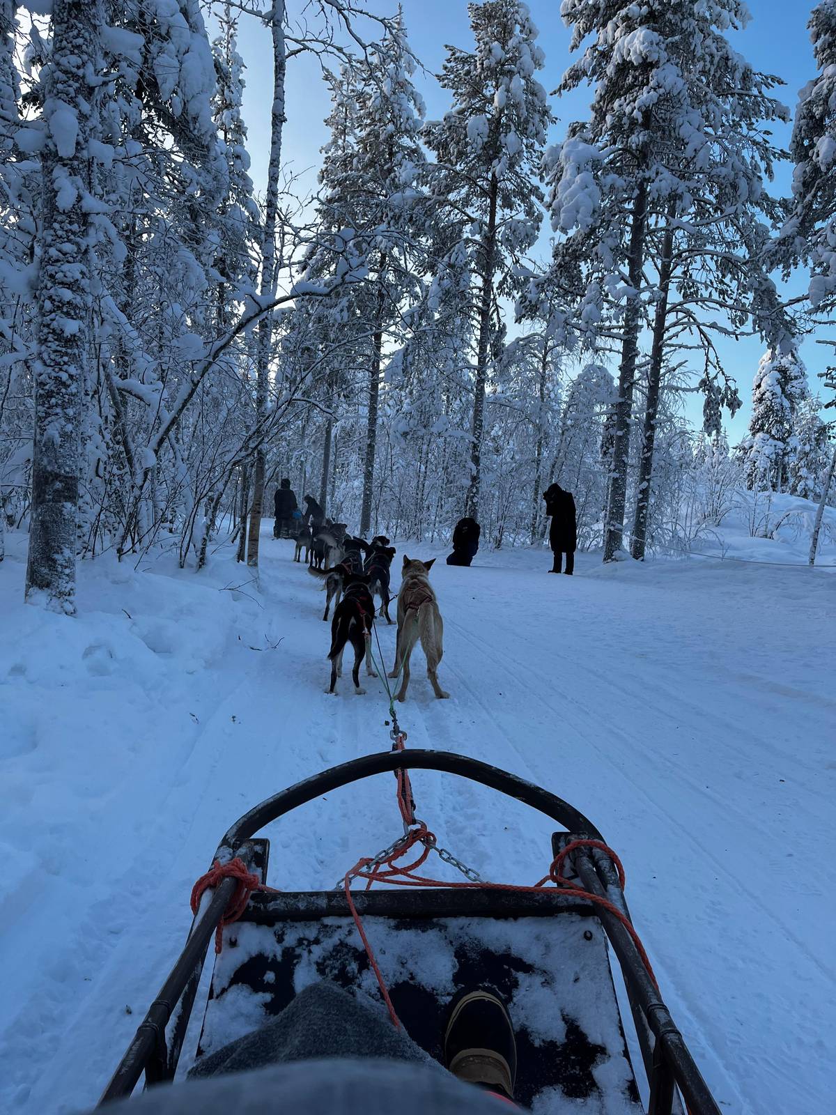 Levi: Guide-driven Husky Safari