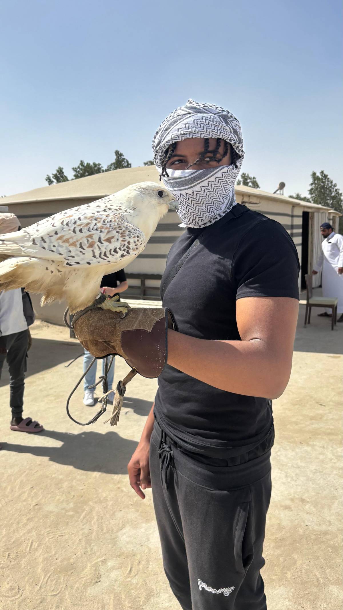 Doha: ATV, Quad or Buggy Dune Bashing, Camel Ride and Sandboarding