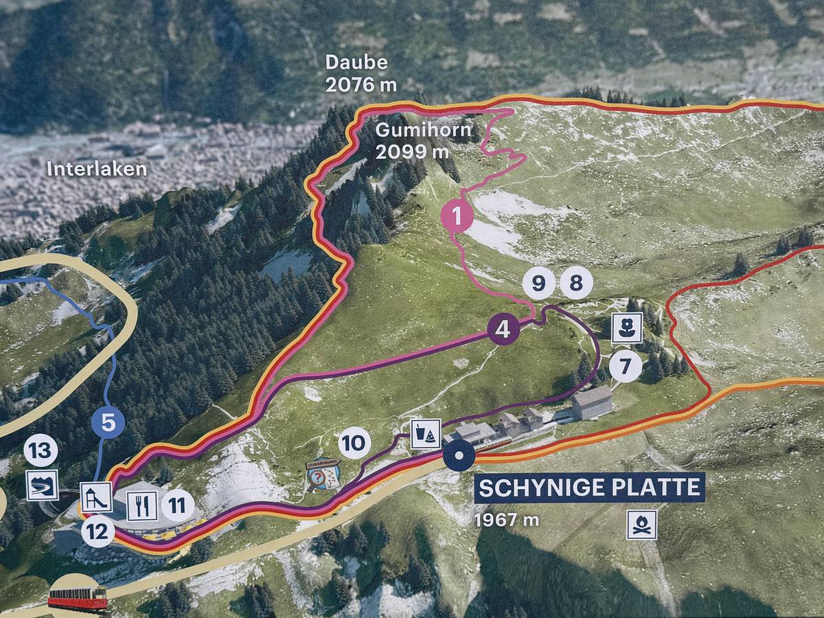 Interlaken: Lake Thun Cruise, St. Beatus Caves & Picnic