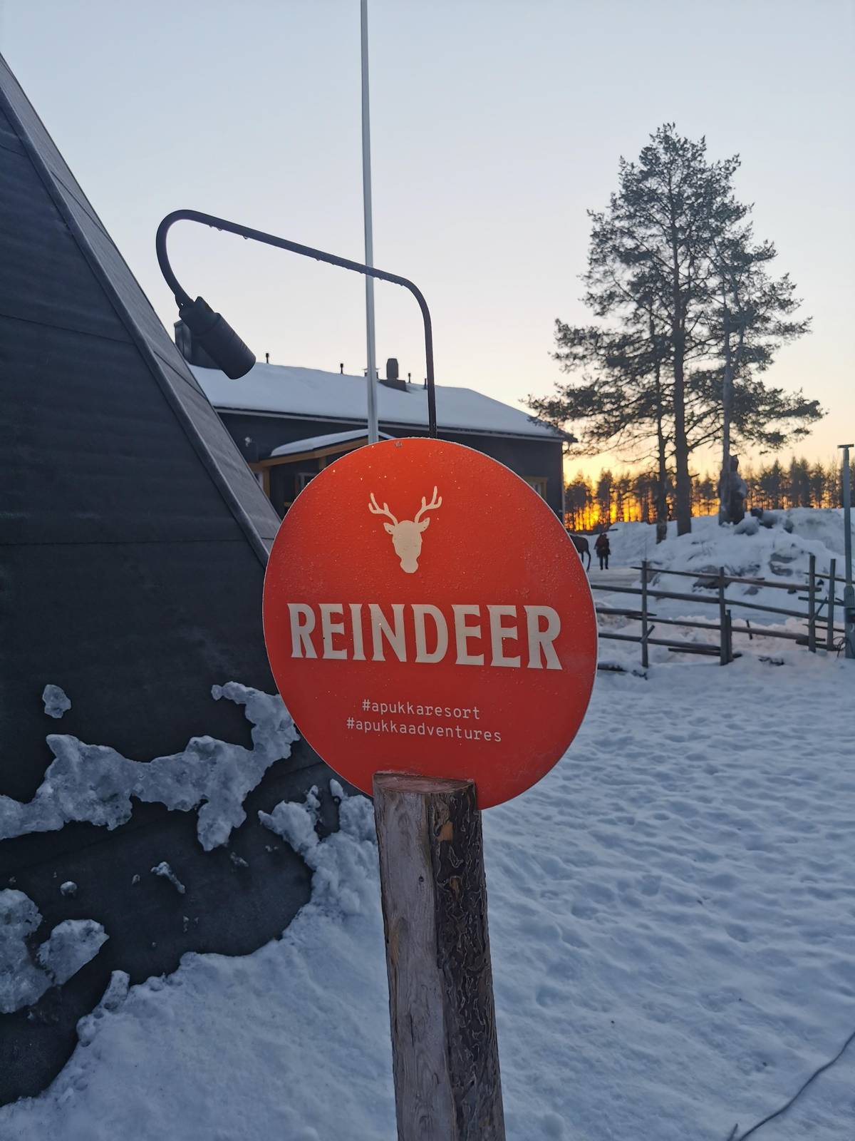 Rovaniemi: excursion rennes durable sur 2 à 3 km