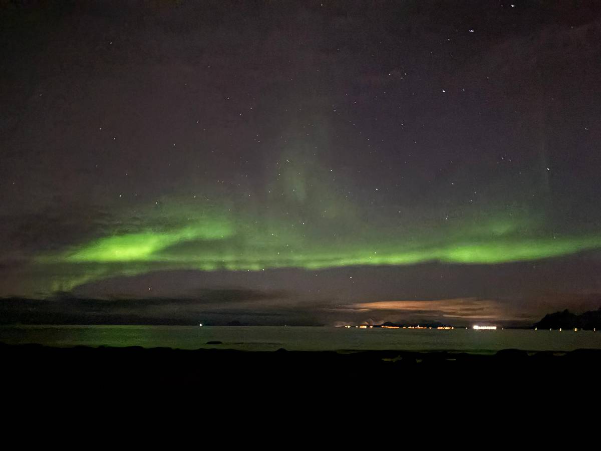 Northern lights hunt from Svolvær