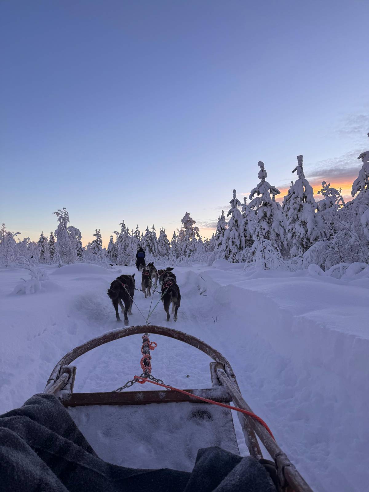 Levi: Self-Drive Guided Husky Tour